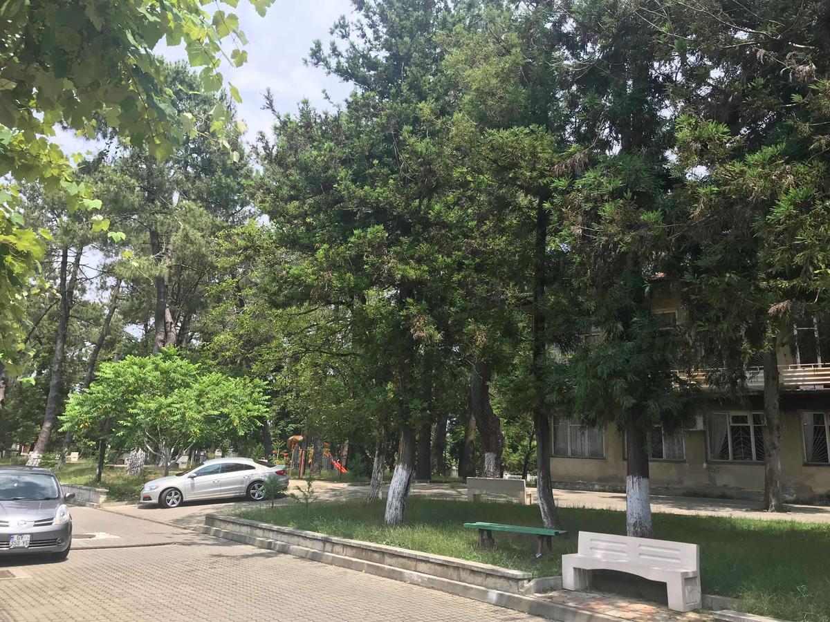 Anna Hostel コブレチ エクステリア 写真