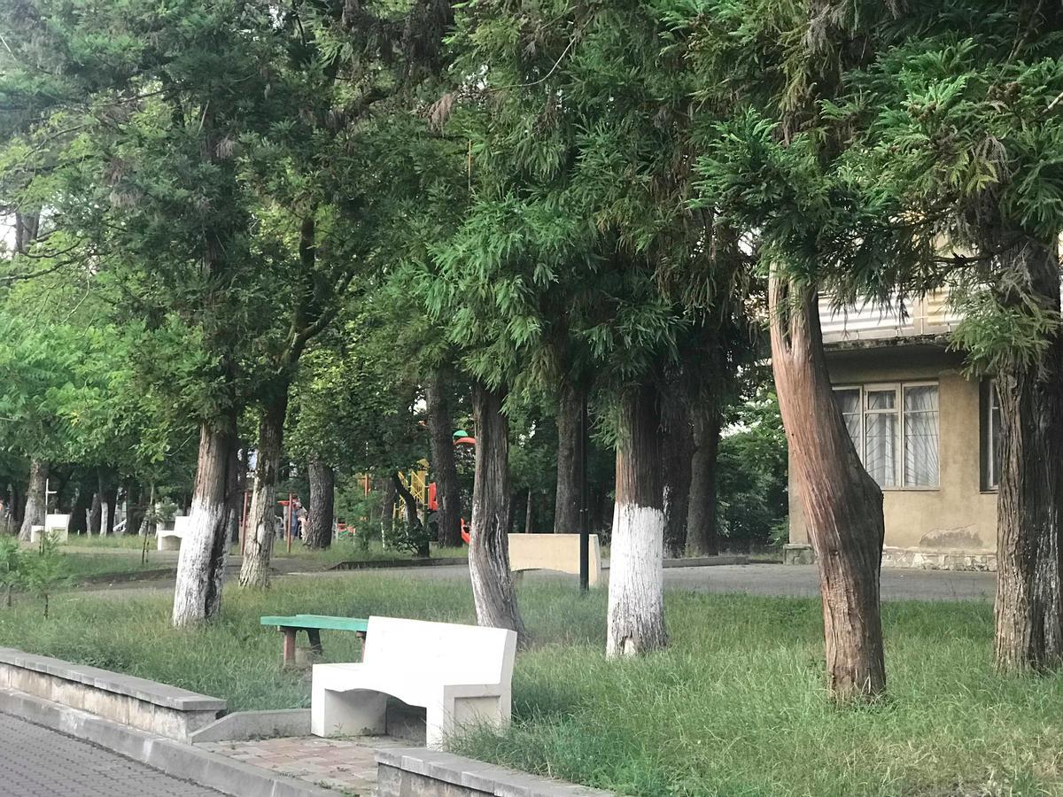 Anna Hostel コブレチ エクステリア 写真