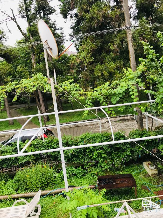 Anna Hostel コブレチ エクステリア 写真
