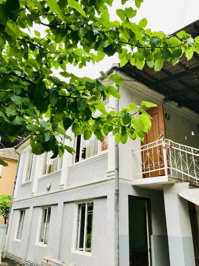 Anna Hostel コブレチ エクステリア 写真