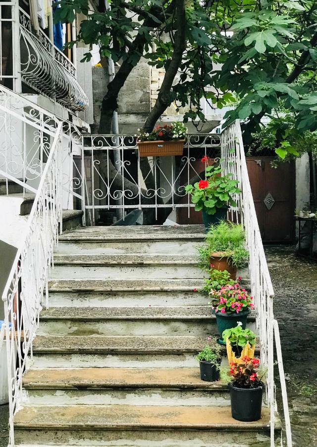 Anna Hostel コブレチ エクステリア 写真