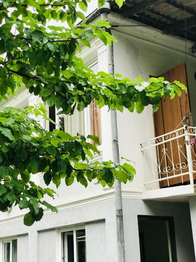 Anna Hostel コブレチ エクステリア 写真